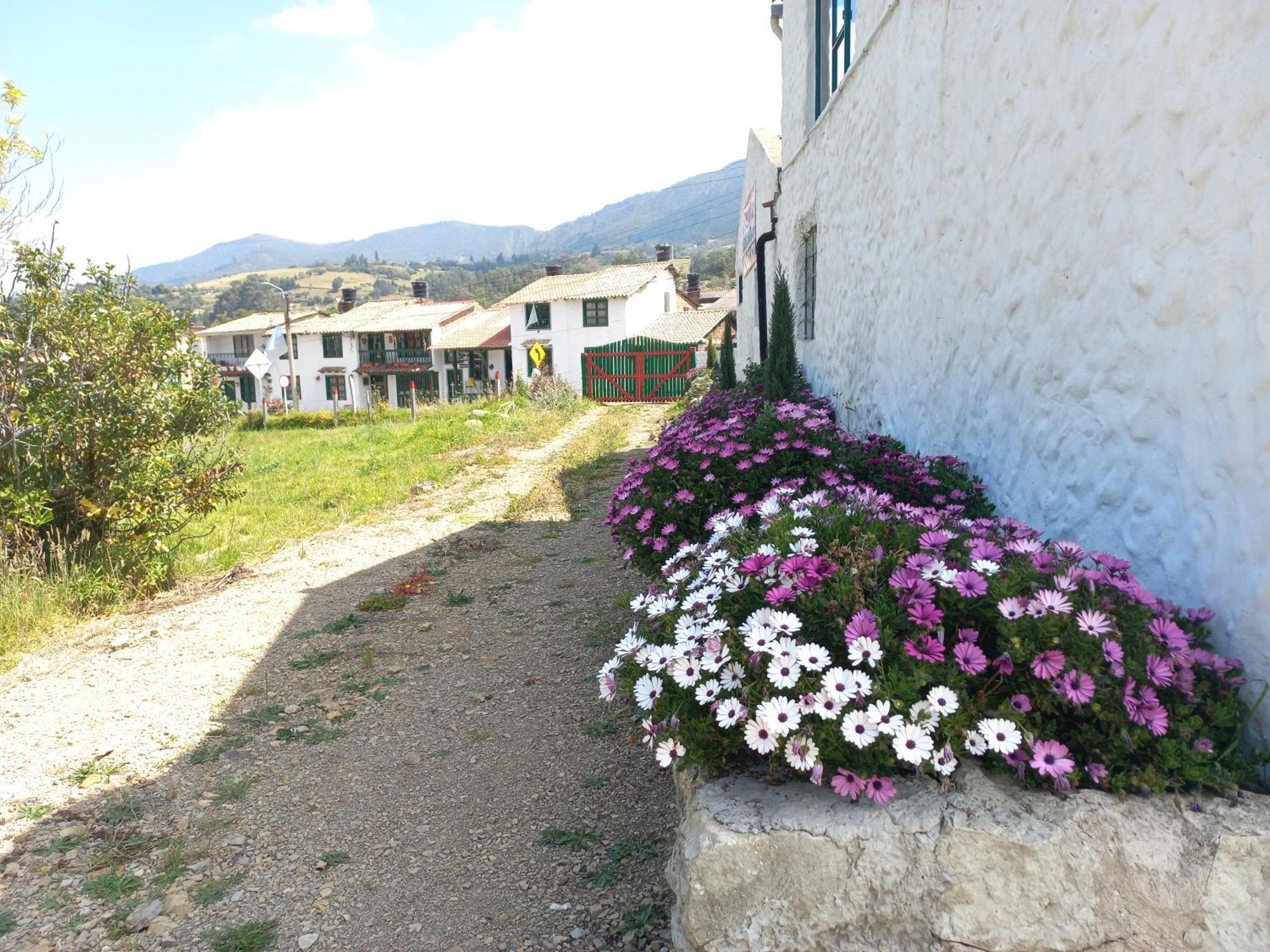 Hospedaje Y Camping Del Rio モングイ エクステリア 写真