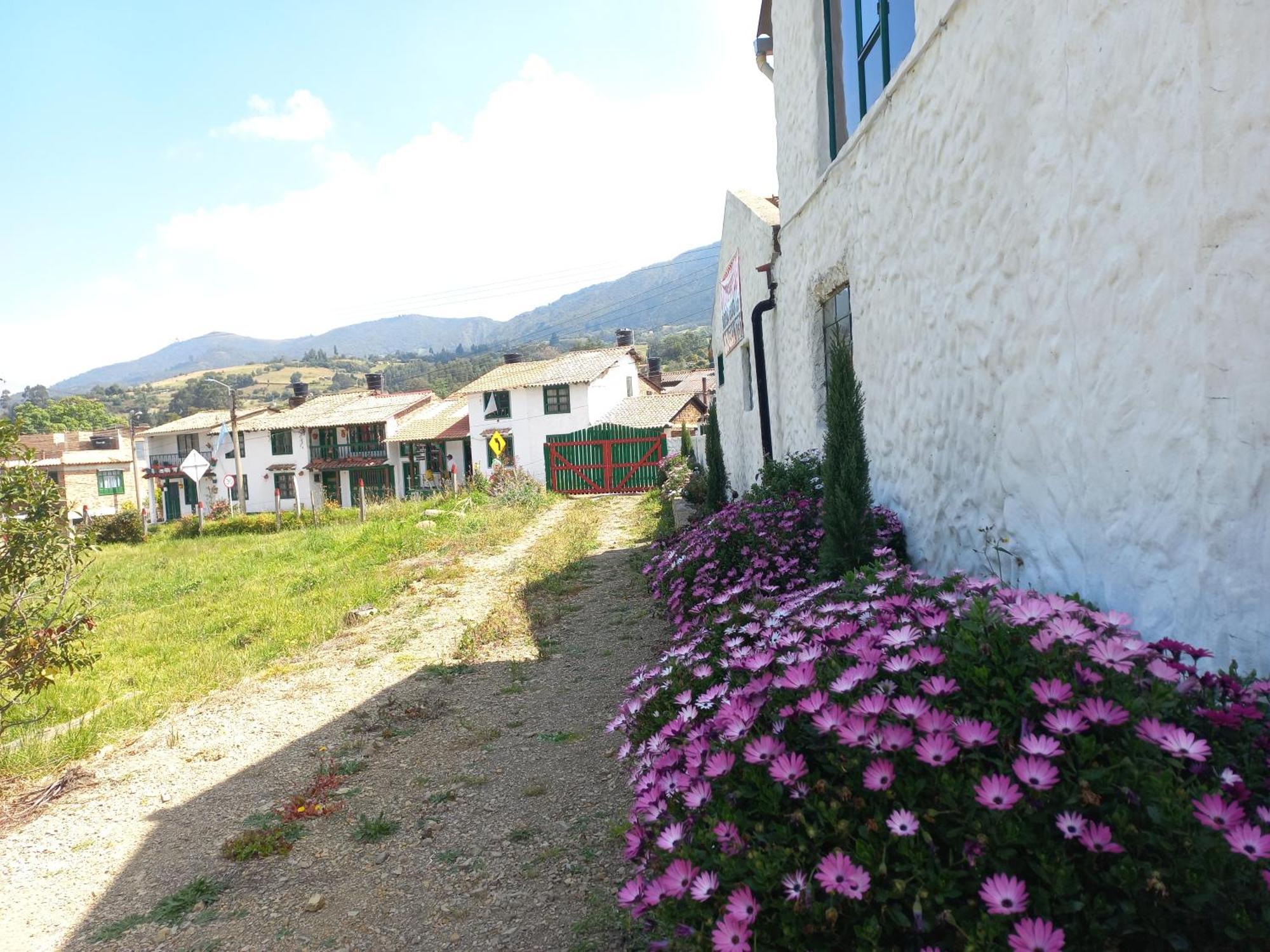 Hospedaje Y Camping Del Rio モングイ エクステリア 写真